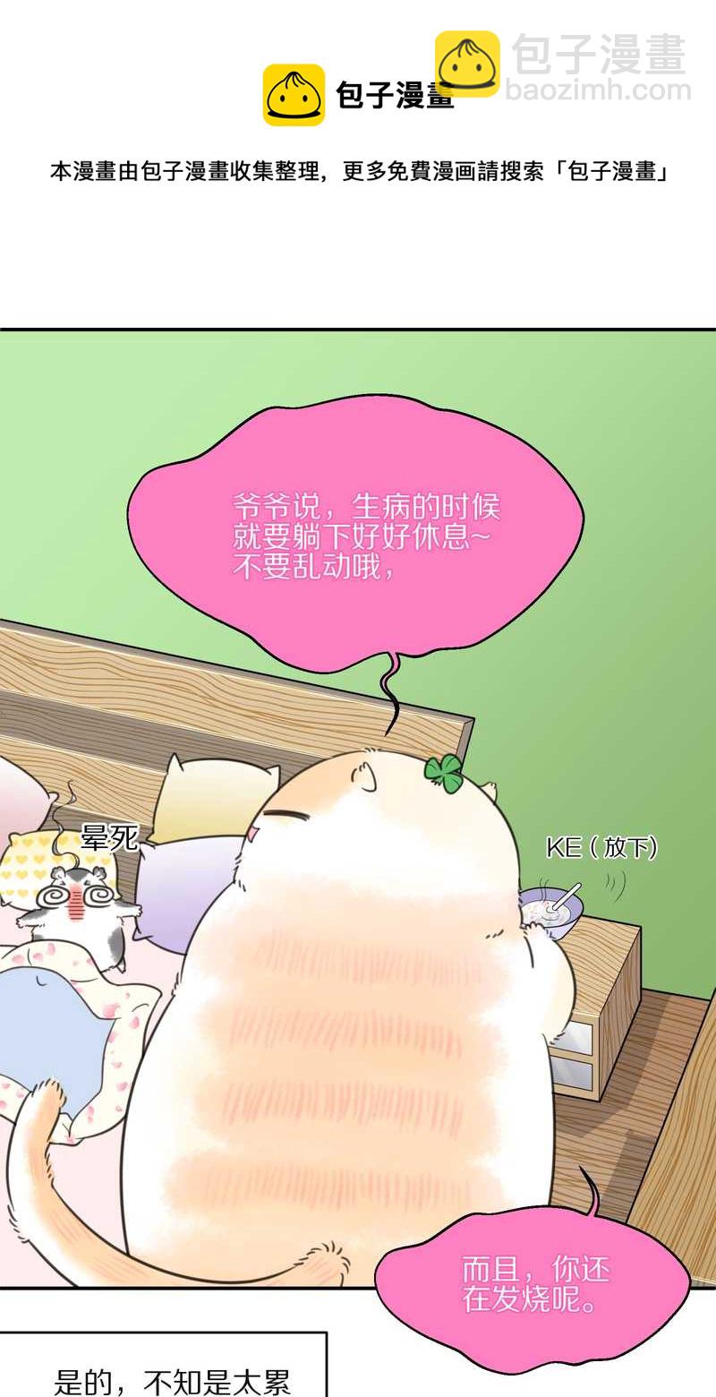 毛球星传说 第13集(1/2)-第13话