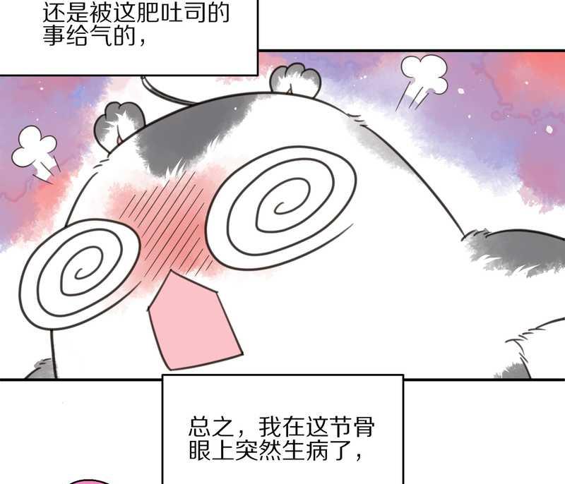 毛球星傳說 - 毛球星傳說 第13集(1/2) - 2