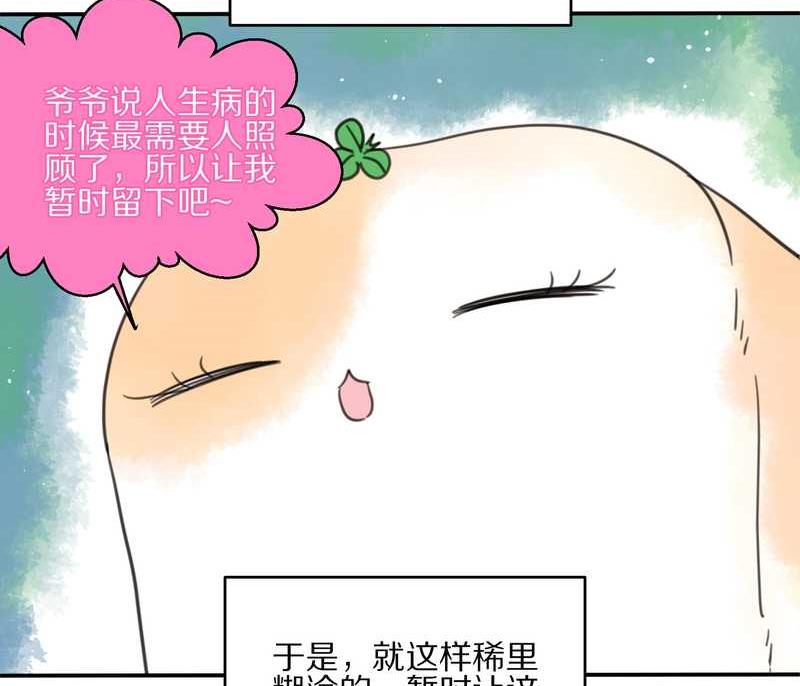 毛球星传说 第13集(1/2)-第13话