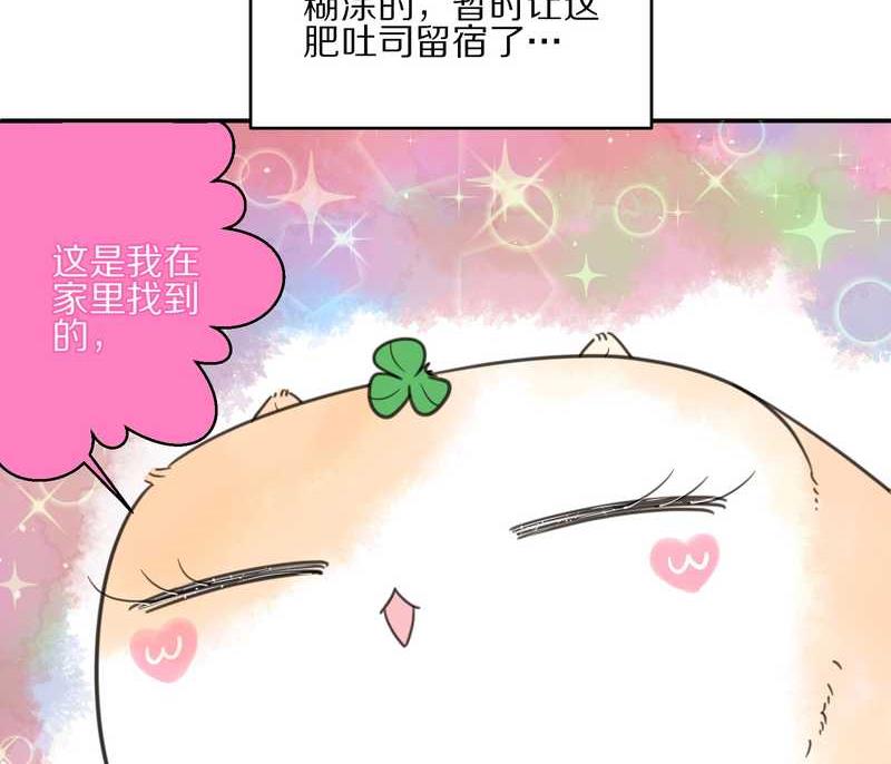 毛球星传说 第13集(1/2)-第13话