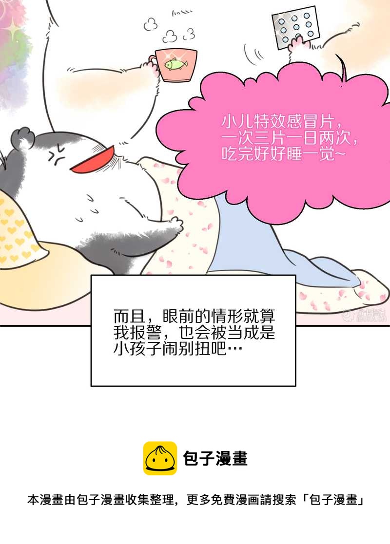 毛球星传说 第13集(1/2)-第13话