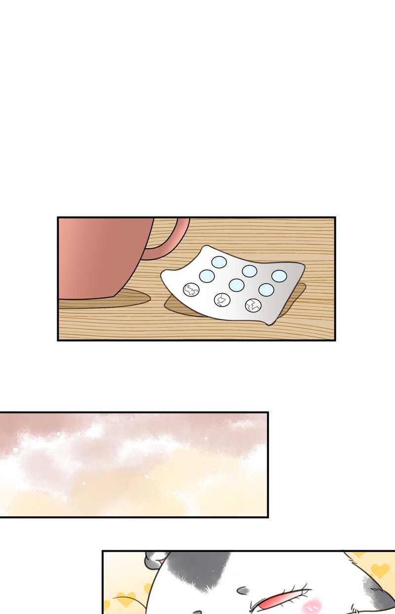 毛球星传说 第13集(1/2)-第13话