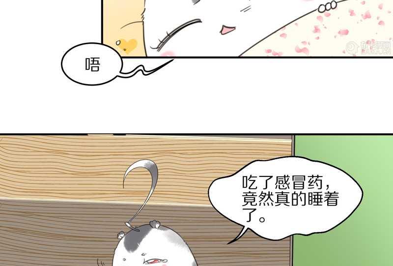 毛球星传说 第13集(1/2)-第13话