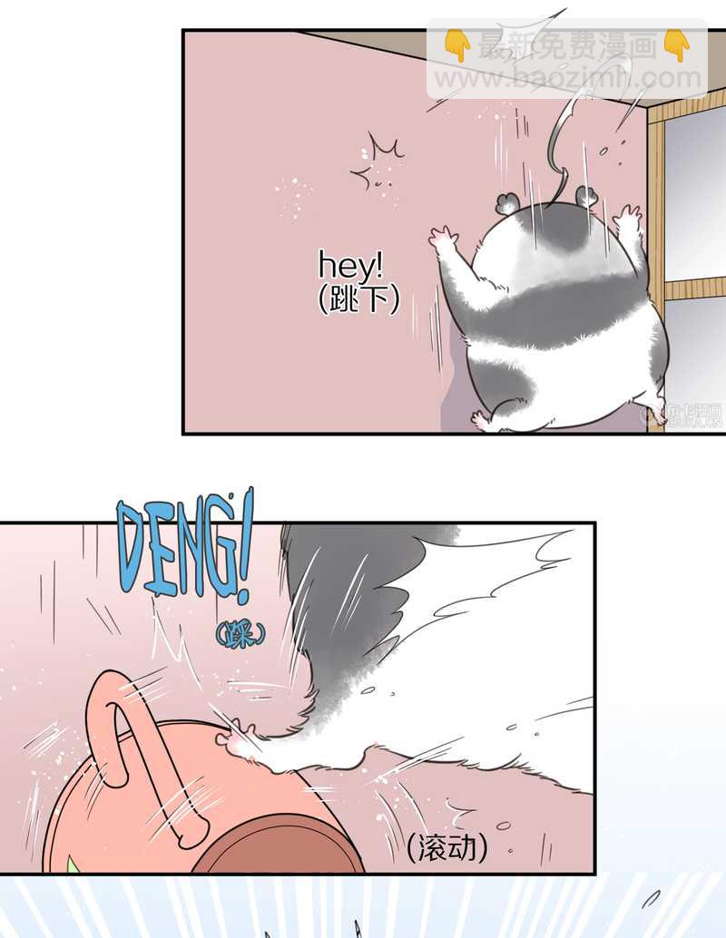 毛球星传说 第13集(1/2)-第13话