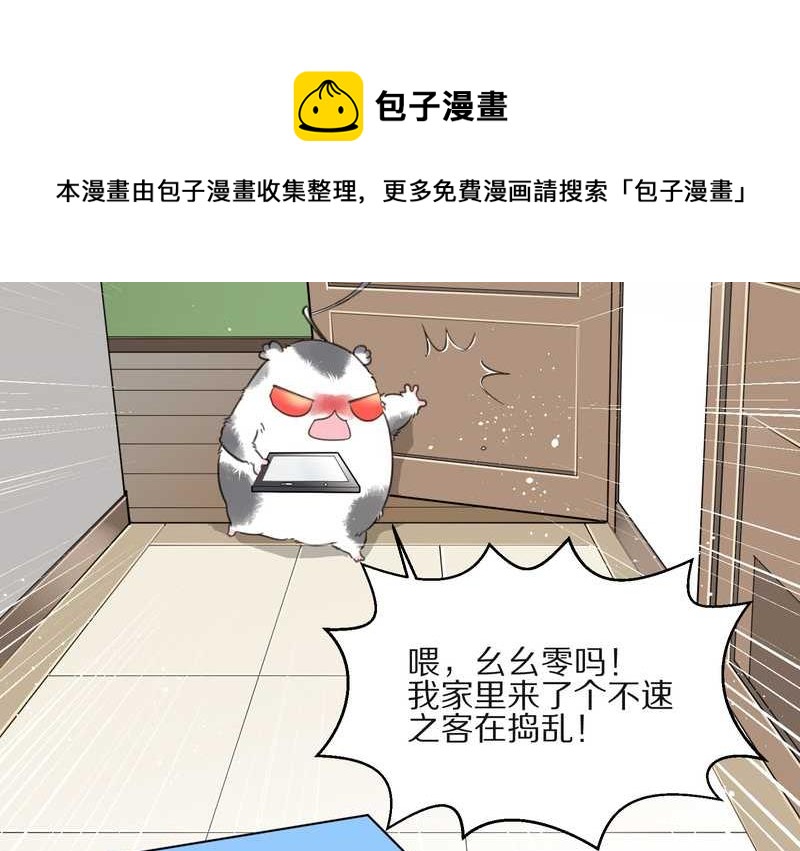 毛球星传说 第13集(1/2)-第13话