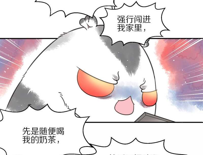 毛球星传说 第13集(1/2)-第13话