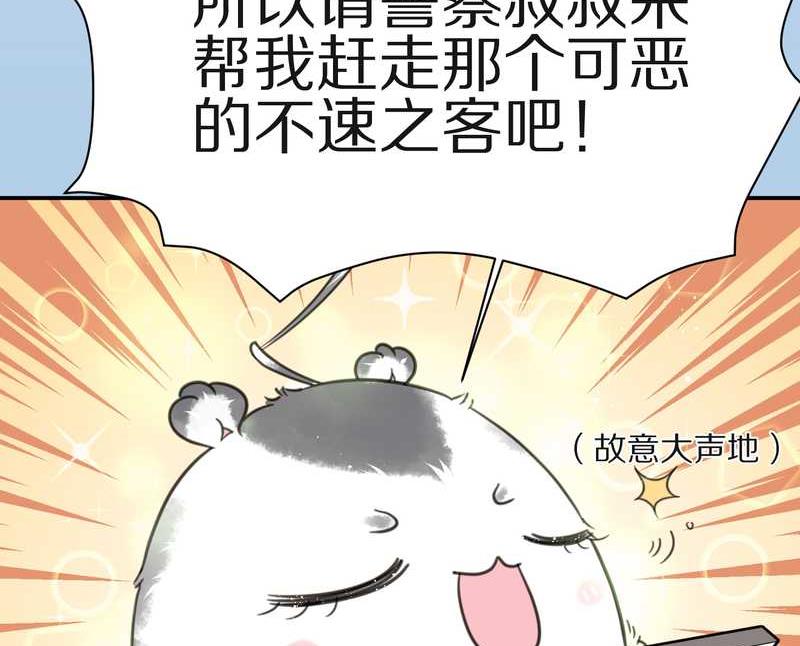 毛球星传说 第13集(1/2)-第13话