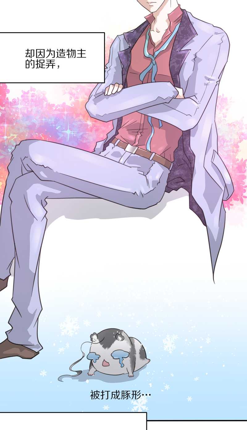 毛球星传说 第13集(1/2)-第13话