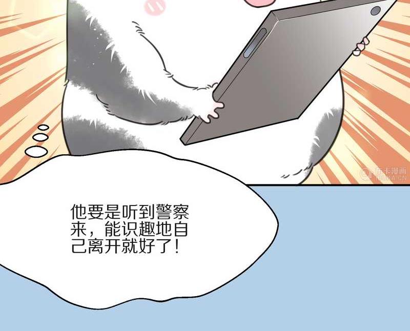 毛球星传说 第13集(1/2)-第13话