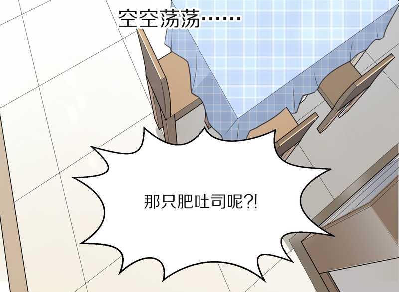 毛球星传说 第13集(1/2)-第13话