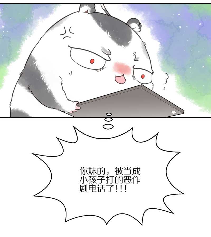 毛球星传说 第13集(1/2)-第13话