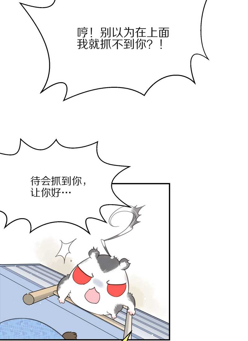 毛球星传说 第15集(1/2)-第15话