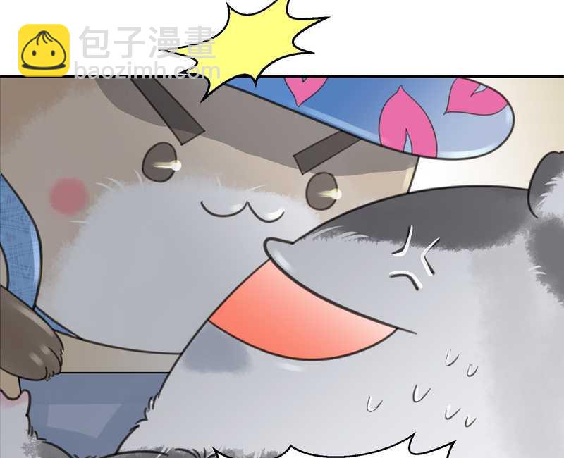 毛球星传说 第15集(1/2)-第15话