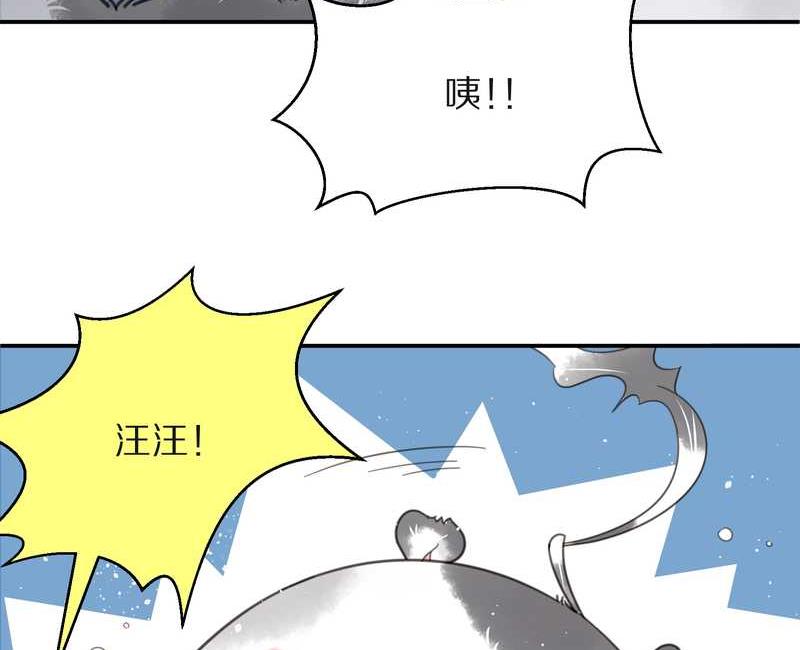 毛球星传说 第15集(1/2)-第15话