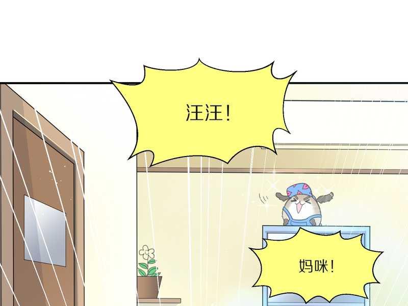 毛球星传说 第15集(1/2)-第15话