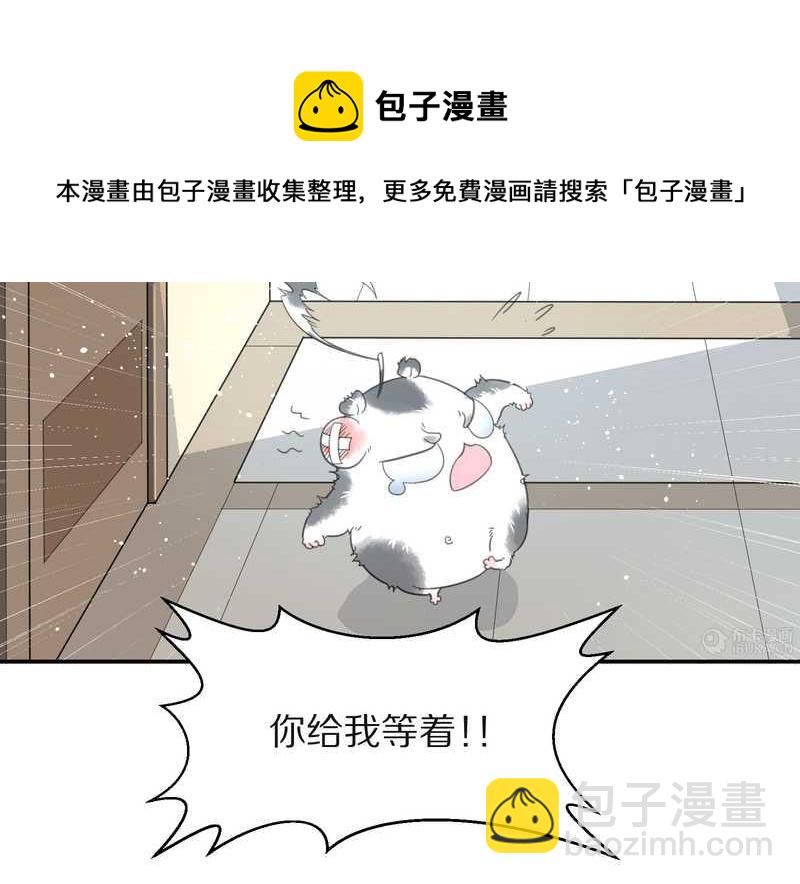 毛球星传说 第15集(1/2)-第15话