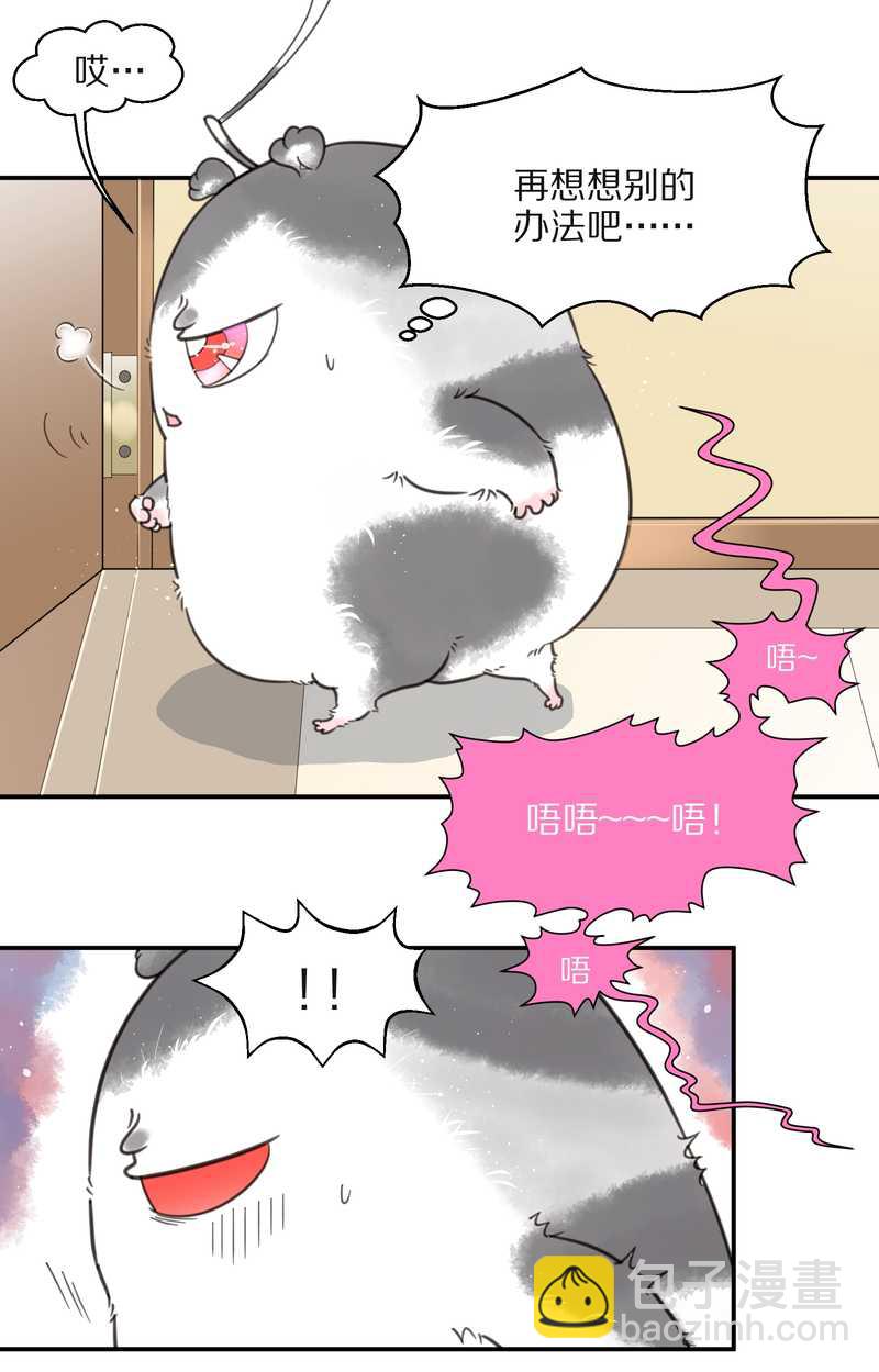 毛球星传说 第15集(1/2)-第15话