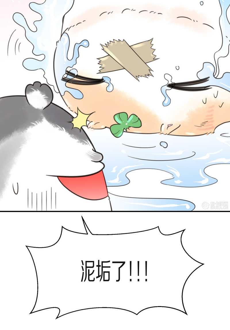 毛球星传说 第15集(1/2)-第15话