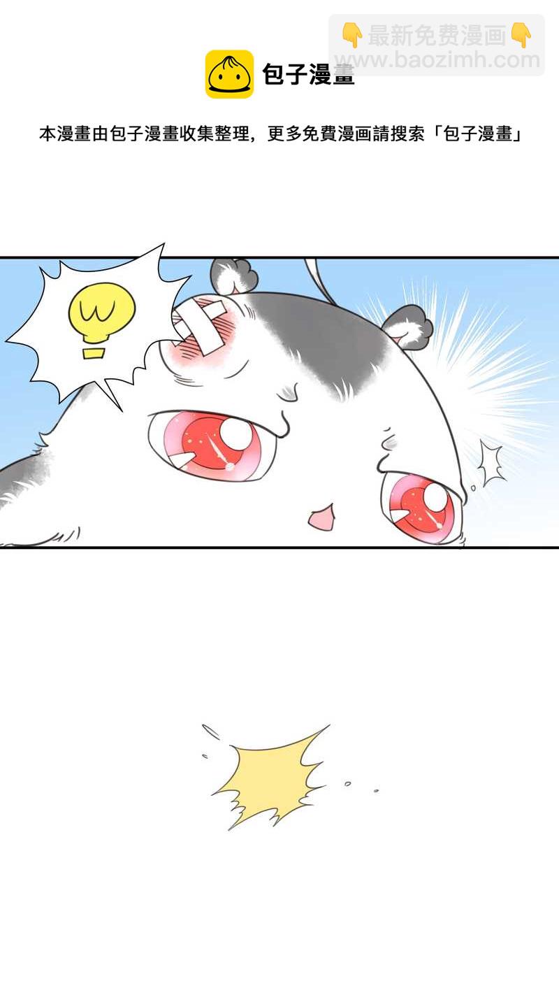 毛球星传说 第15集(1/2)-第15话