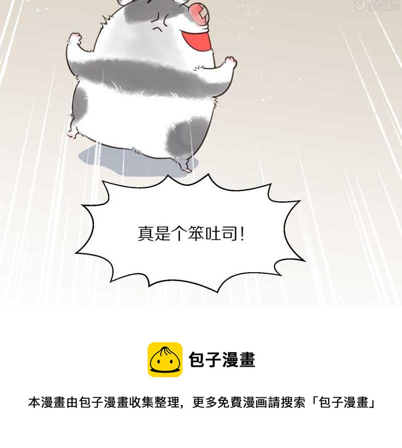 毛球星传说 第15集(1/2)-第15话