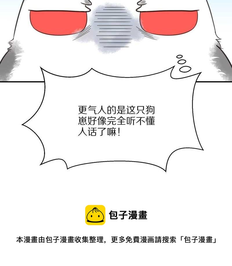 毛球星传说 第15集(1/2)-第15话