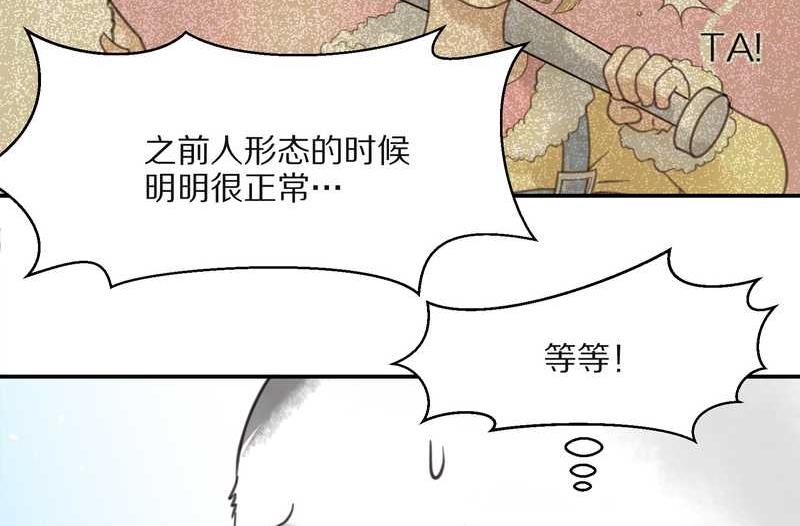 毛球星传说 第15集(1/2)-第15话