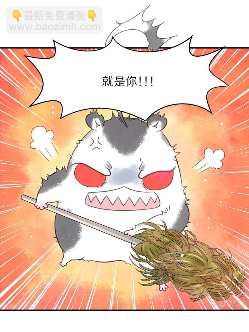 毛球星传说 第15集(1/2)-第15话