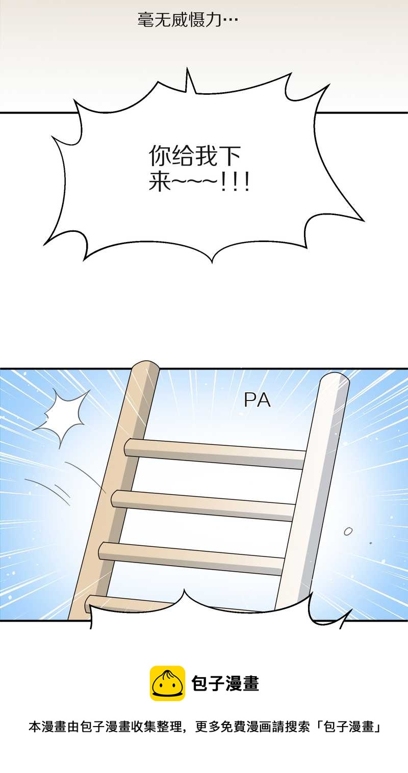 毛球星传说 第15集(1/2)-第15话