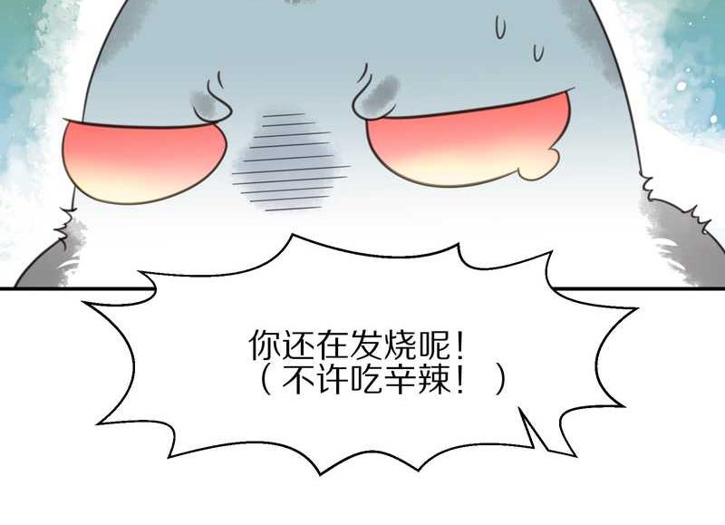 毛球星传说 第17集(1/3)-第17话