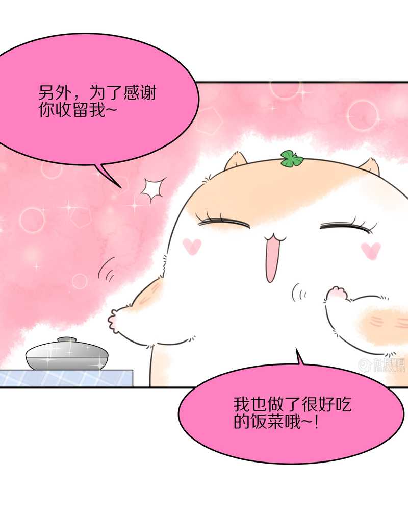 毛球星传说 第19集(1/2)-第19话