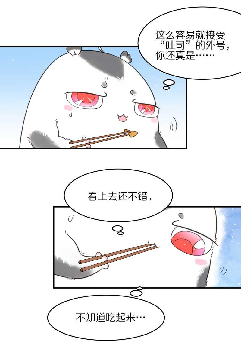 毛球星传说 第19集(1/2)-第19话