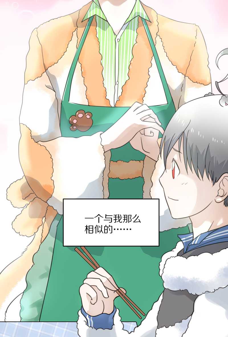 毛球星传说 第19集(1/2)-第19话