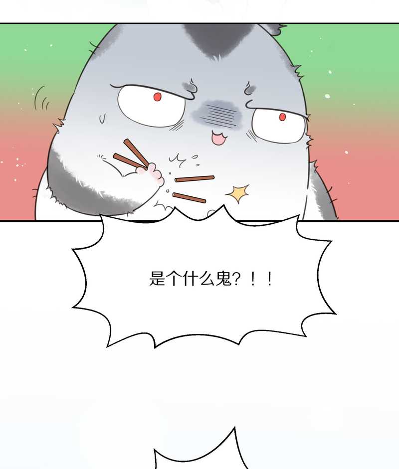 毛球星传说 第19集(1/2)-第19话