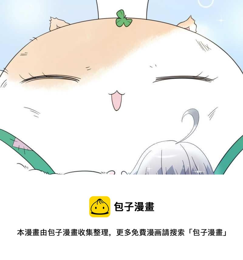 毛球星传说 第19集(1/2)-第19话