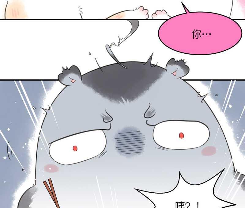 毛球星传说 第19集(1/2)-第19话