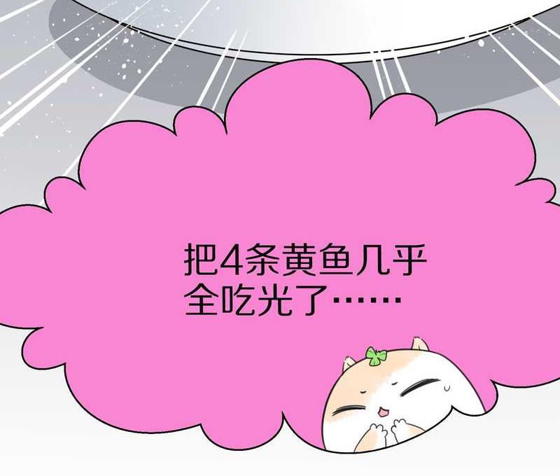 毛球星传说 第19集(1/2)-第19话