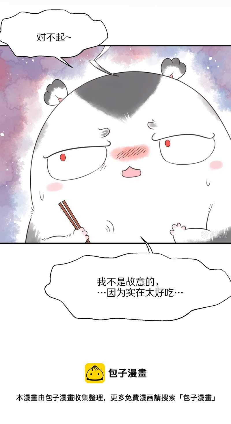 毛球星传说 第19集(1/2)-第19话