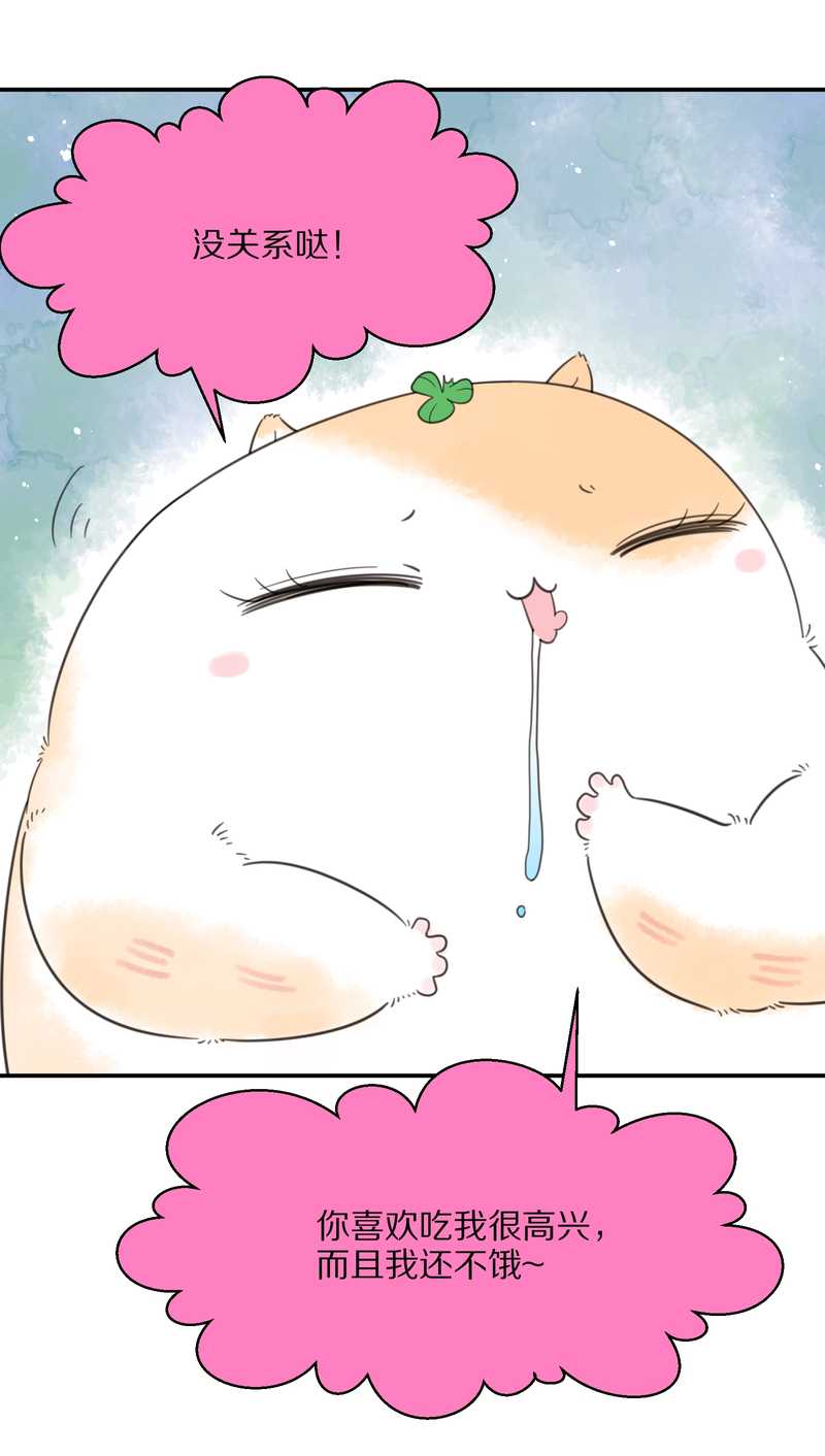 毛球星传说 第19集(1/2)-第19话