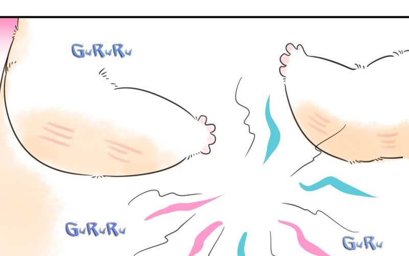 毛球星传说 第19集(1/2)-第19话