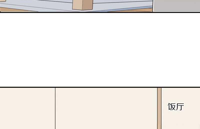 毛球星传说 第19集(1/2)-第19话