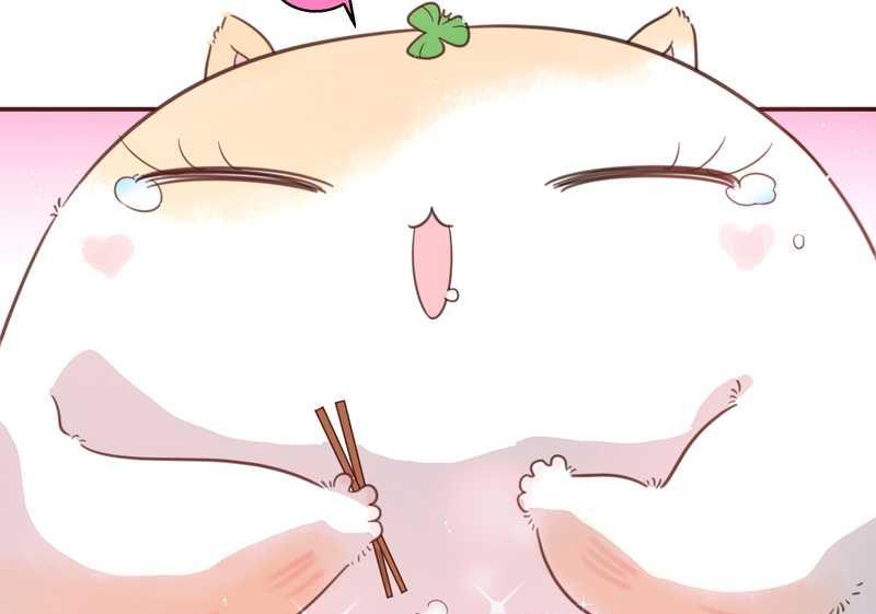 毛球星传说 第19集(1/2)-第19话