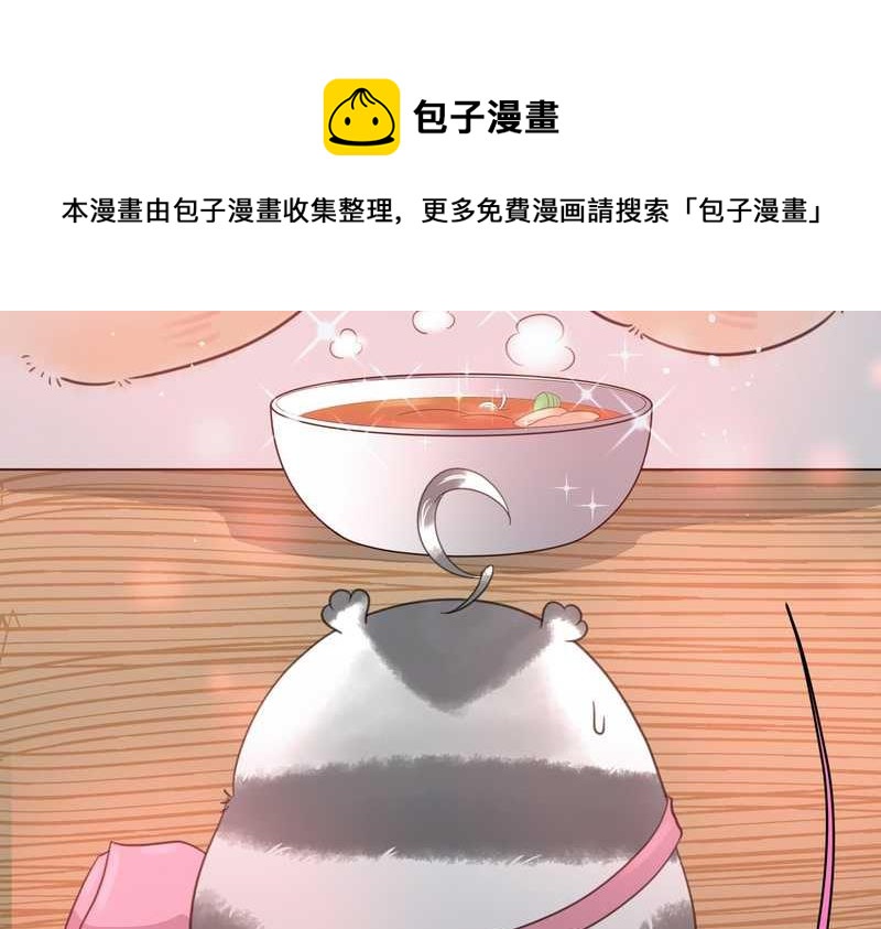 毛球星传说 第19集(1/2)-第19话