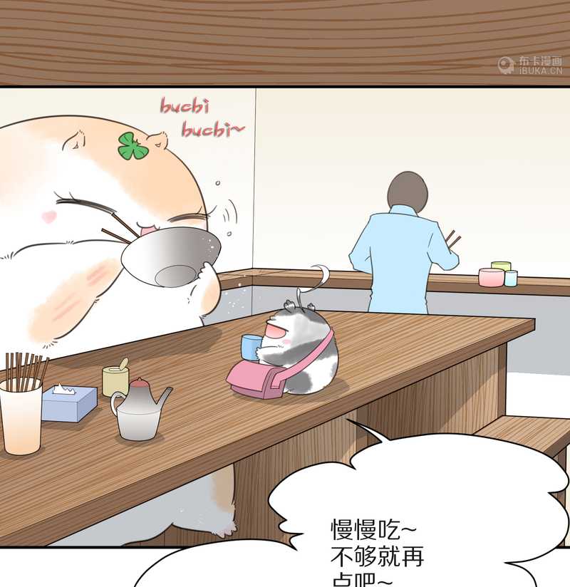 毛球星传说 第19集(1/2)-第19话