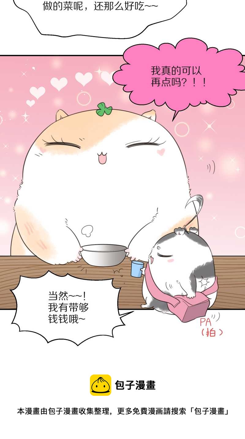 毛球星传说 第19集(1/2)-第19话