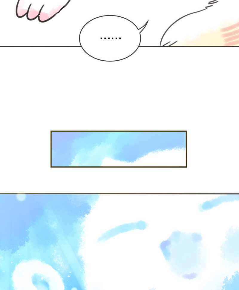 毛球星传说 第3集(1/2)-第3话