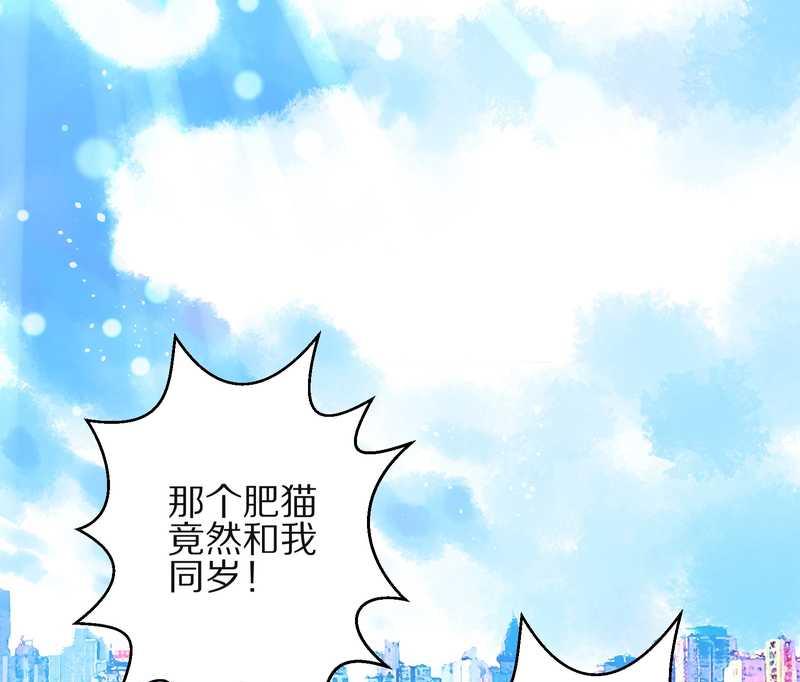 毛球星传说 第3集(1/2)-第3话