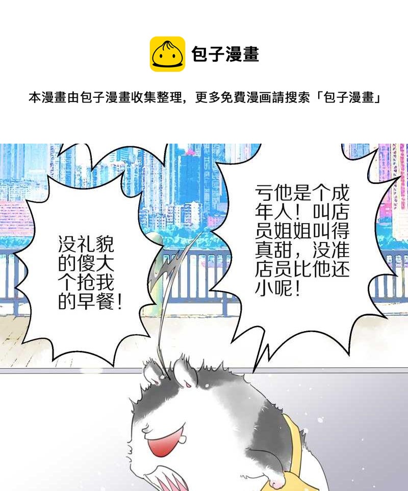 毛球星传说 第3集(1/2)-第3话