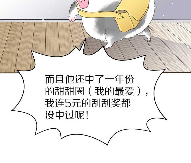 毛球星传说 第3集(1/2)-第3话