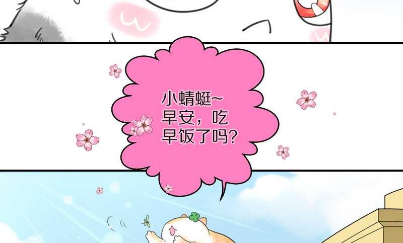 毛球星传说 第3集(1/2)-第3话