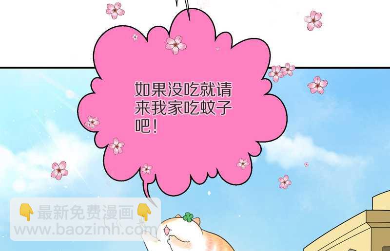 毛球星传说 第3集(1/2)-第3话